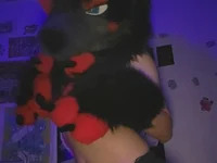 RadPawz_furry avatar