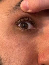 Rebeu-frozen- avatar