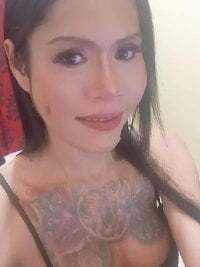 Savannah_Cock avatar