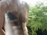 SeanSativa avatar