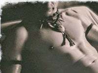 SexToyOnely avatar