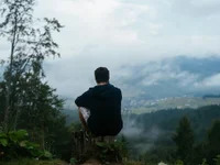 Snehal3544 avatar