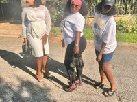 Spicey-Cheeks avatar