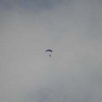 The_Shy_Guy93 avatar