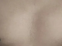Thorrod6 avatar