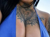 Tigrecurvy avatar