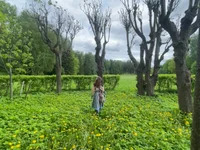 VivienDarkbloom avatar