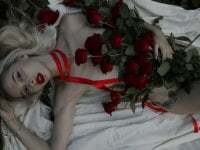 White_Lioness avatar