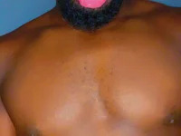 Wildfierce avatar