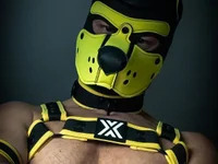 WildyLynx avatar
