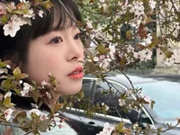 Y-Fanqie avatar