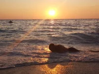 YoungforOld32 avatar