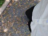 _HoKi avatar