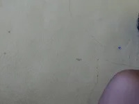 _yourharsh_ avatar