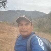 alcoan3 avatar