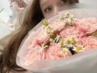 aloceprobrawlstars avatar