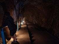 annabelle1641 avatar