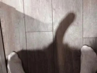 antoniodz23 avatar