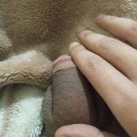 arabcockhot123 avatar