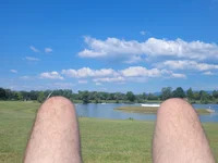 austriancock1 avatar