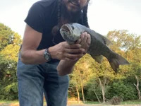 bobmarleybd15420 avatar