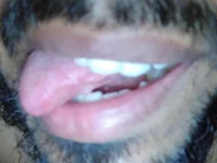 callboyhotbd avatar