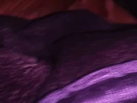 coolboy2626 avatar