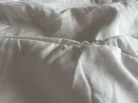 danaymaxxx avatar