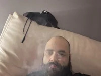 danibigcazz avatar