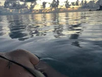 desired_breasts avatar