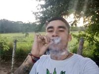 desobedientehijo avatar