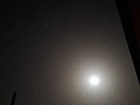 dickbigges14 avatar