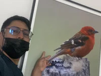 eamisay avatar