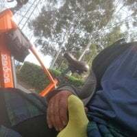 exhibitionistmale avatar