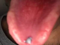 godlypipe avatar