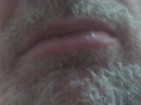 gutoaugusto avatar