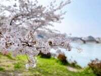 hitozuma_mao_m avatar