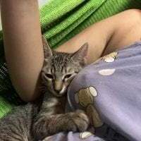 huynhphu2206vn avatar