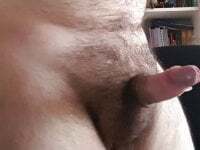 italianbear86 avatar