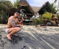 josemeirelesfox avatar