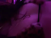 juicybootyquinn avatar