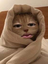 kaikaimandayonn avatar