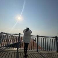 linlin886 avatar