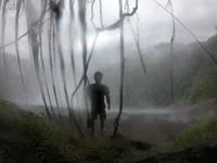 little-monter avatar