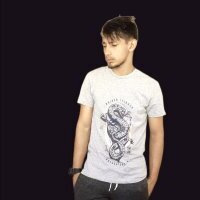 littleKingfire avatar