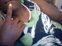 lizbrihotcum avatar