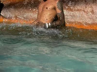 lredinho avatar