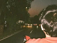 lustydevvv avatar