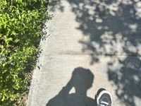 machimagchoreom avatar