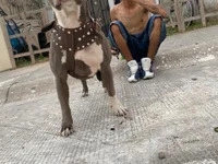 man_hot23 avatar